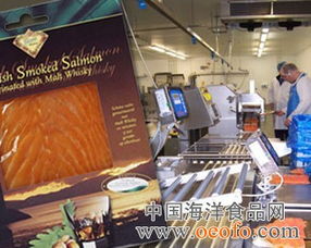 英國(guó)法恩水產(chǎn)公司向蘇格蘭加工廠注資120萬(wàn)英鎊的法律意義與合規(guī)分析